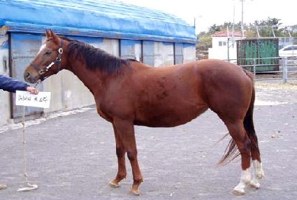 ���̵�����¥ ����