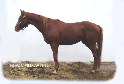 ��ȥ�ʷδ� ����