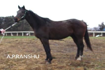 �����Ƕ��� ����