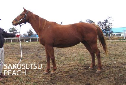 ������������ ����