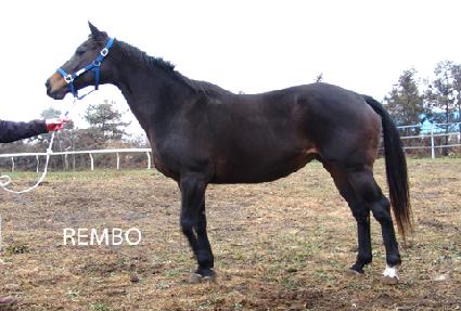 ���� ����