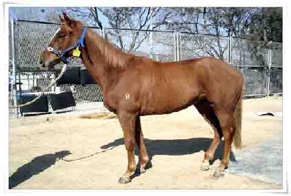 ������ȥ ����