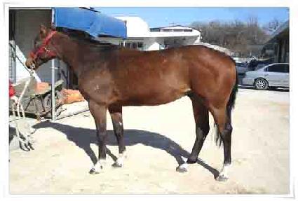 ��õ�� ����