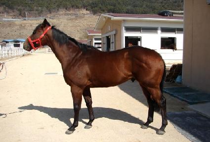 ������� ����