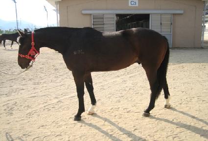 ũ��ū���� ����