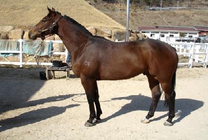 �������� ����