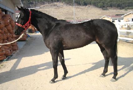 ���ڼ� ����