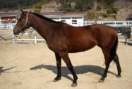 ����� ����