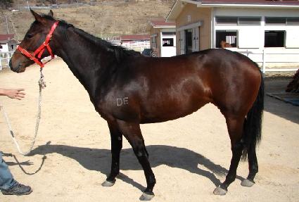 ���׾����� ����