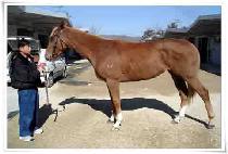 ������ (BYEOK O DONG) ����