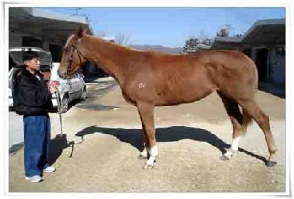 ������ ����