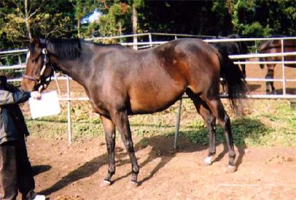 �ű��������� ����