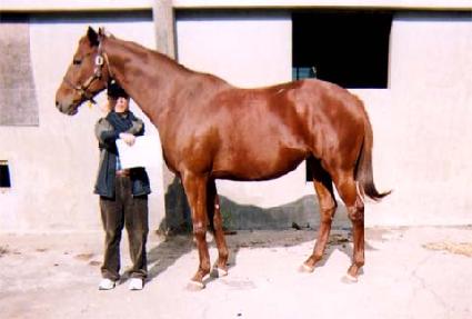 �����弼���� ����