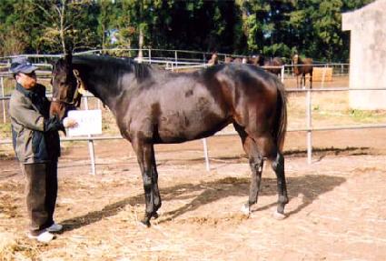 ��ġī ����