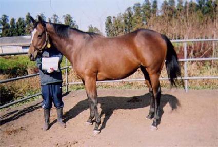 ���̵���Ʈ��� ����