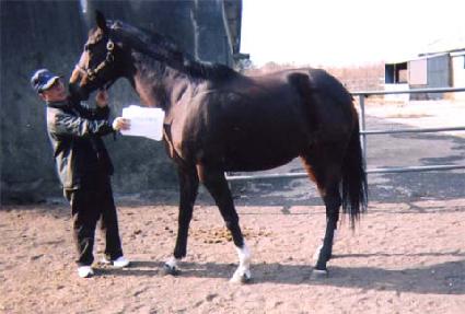 �������ͽ������� ����