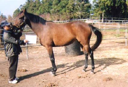 ������� ����