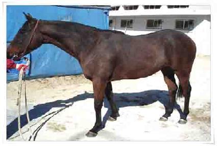 ��ȸ���� ����