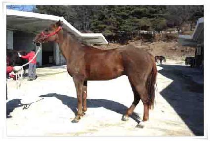 ���ư���̼� ����