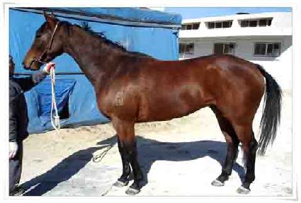 ĸƾ����Ʈ ����