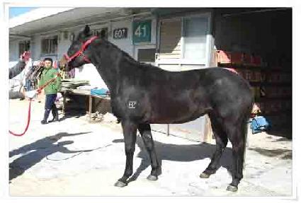 ���ο��ħ ����