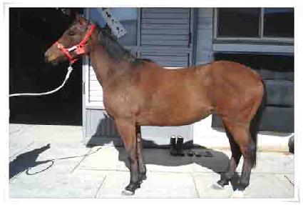 ���ǿ��� ����