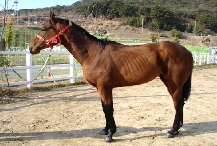 ���� ����