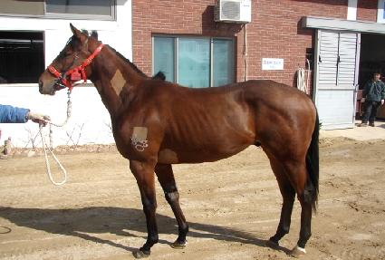 ���帮���� ����