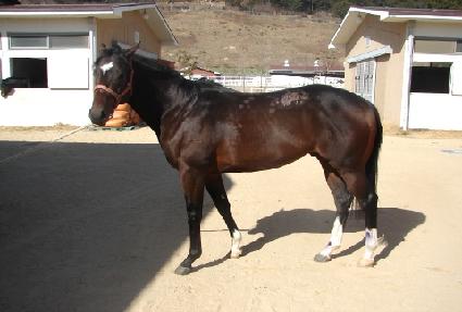 ����ġ ����