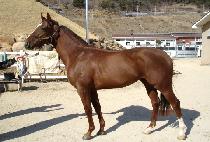 ����Ʈ���� (IMPACT RUSH) ����