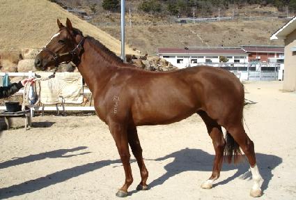 ����Ʈ���� ����