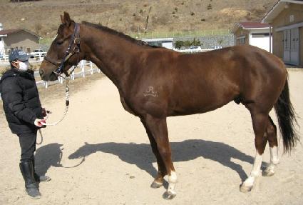 �������ȭ ����