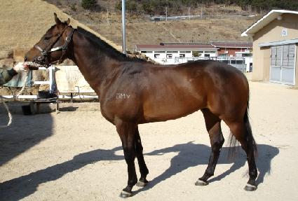 �̷縶 ����