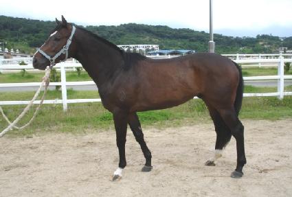 ����ĵ�� ����