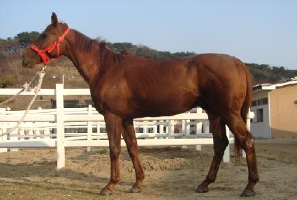 �Ⱥ����׷���Ʈ ����