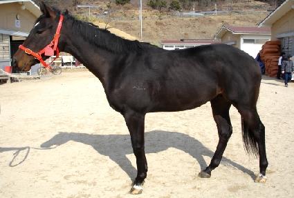 ������ ����