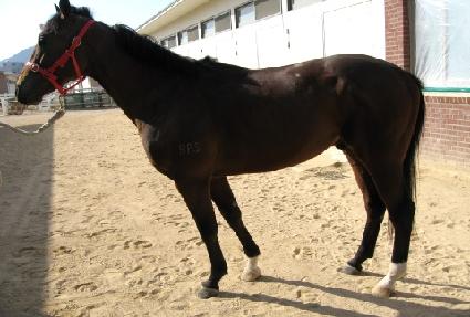 �ױ�Ư�� ����