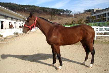 ���� ����