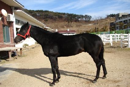 õ�¸��� ����