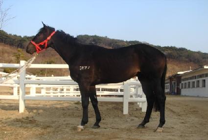 �������� ����