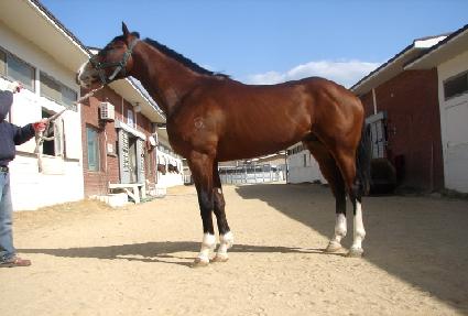 ���������콺 ����