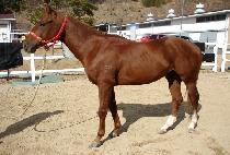 �������� (JIHYEON GWANGSOK) ����