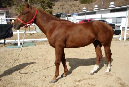 �������� ����