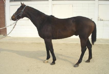 ������� ����