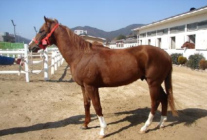 ��ġ ����