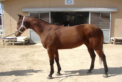 ��Ӻ��� ����