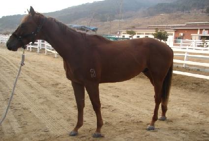 �����÷��̾� ����