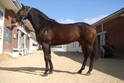 �������������� ����