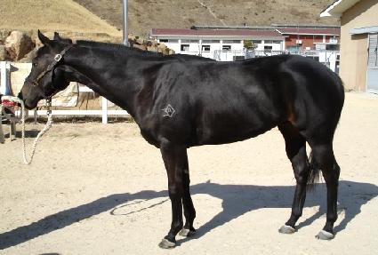 õ�쿵�� ����