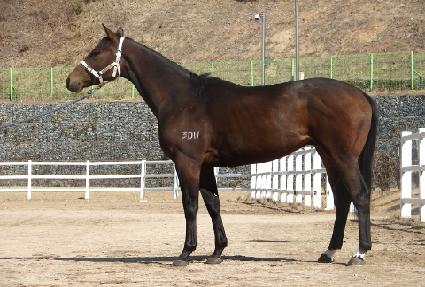 ������ ����